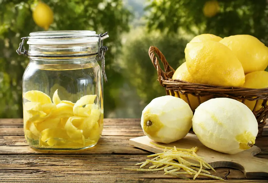 degustazione di olio tra gli ulivi sorrento