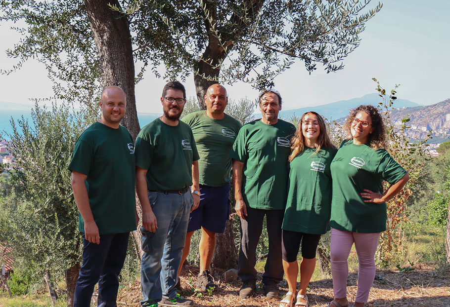 degustazione di olio tra gli ulivi sorrento