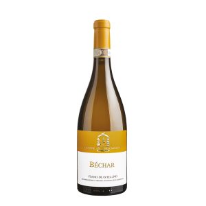 Bechar Cantine Caggiano - Fiano di Avellino DOCG