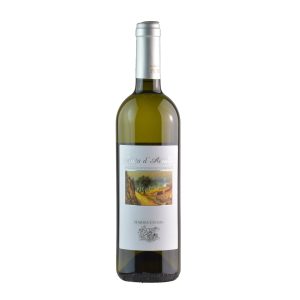 Costa d'Amalfi Bianco Marisa Cuomo - COSTA DI AMALFI DOC