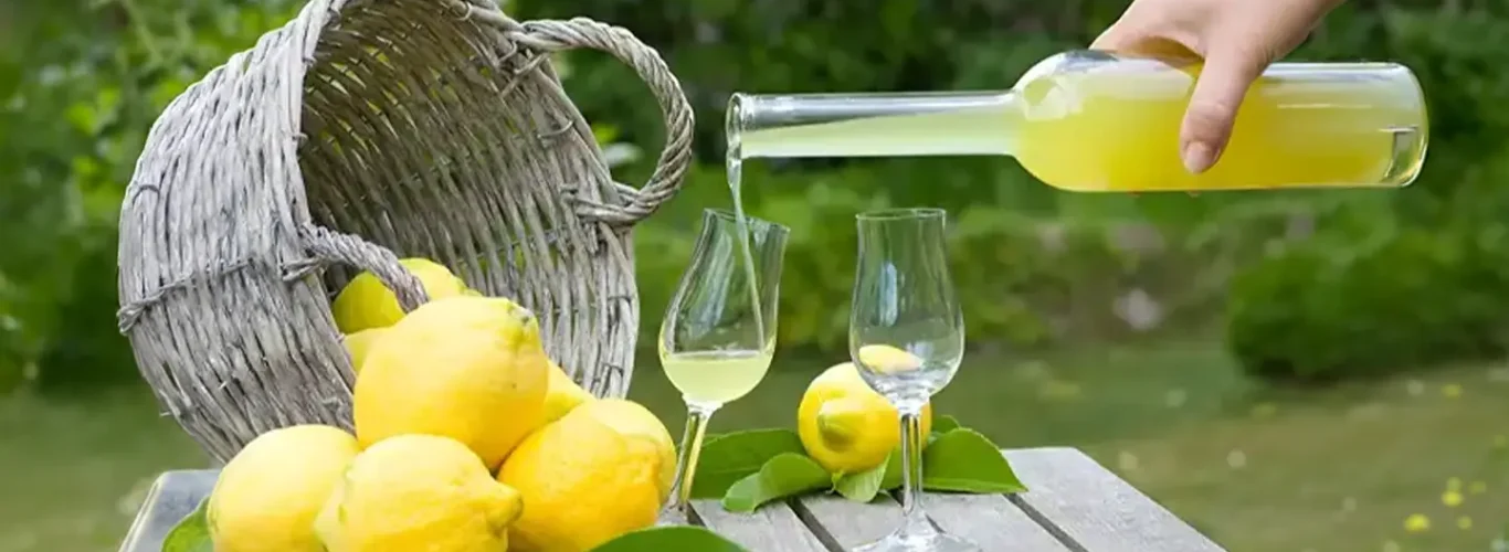 Lemon Tour Sorrento